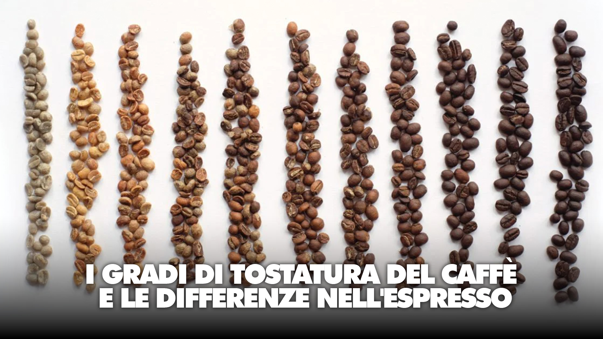 gradi di tostatura caffè blog torrefazione